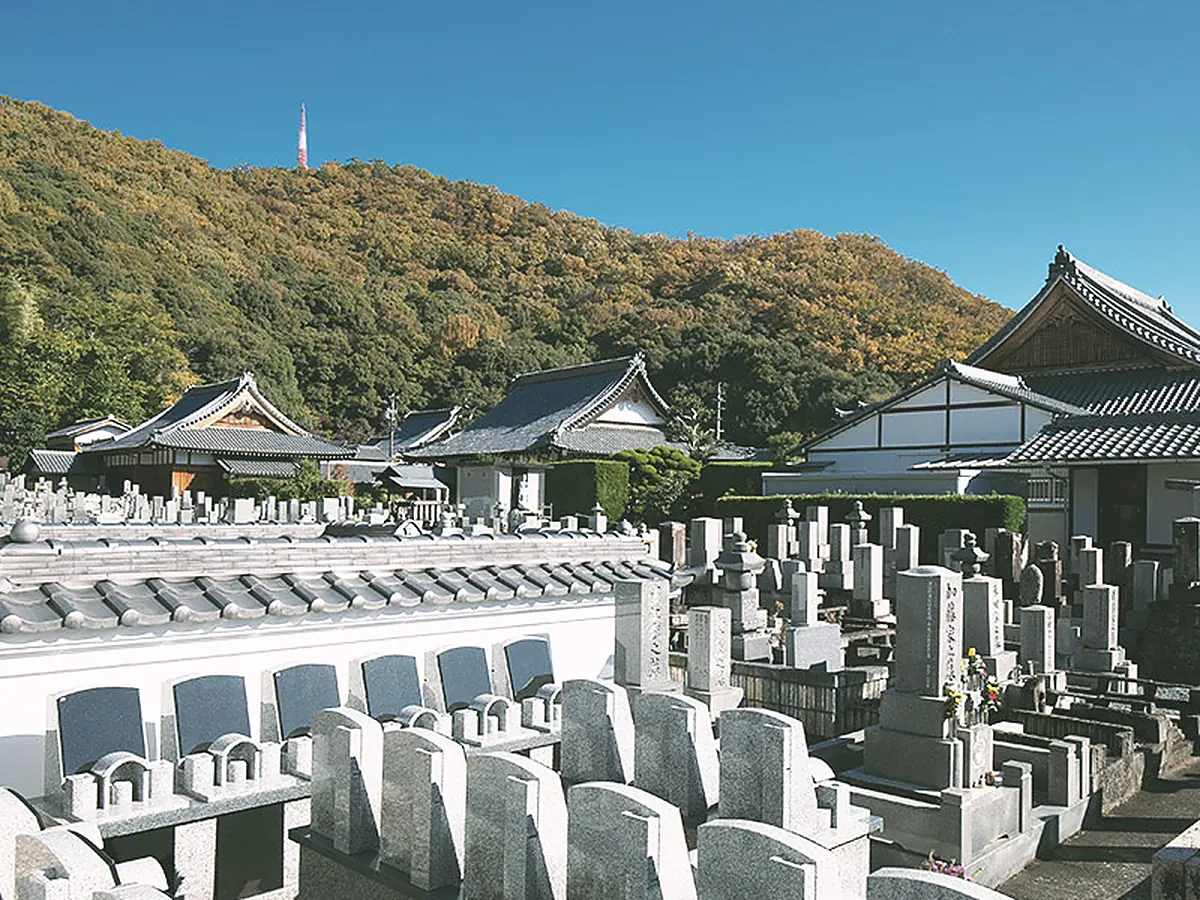 金華山の麓に広がる天澤院の墓苑
